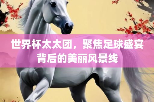 世界杯太太团，聚焦足球盛宴背后的美丽风景线