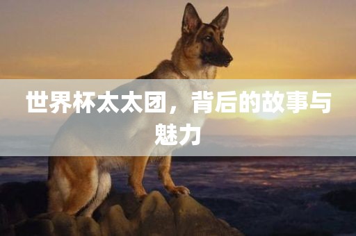 世界杯太太团，背后的故事与魅力