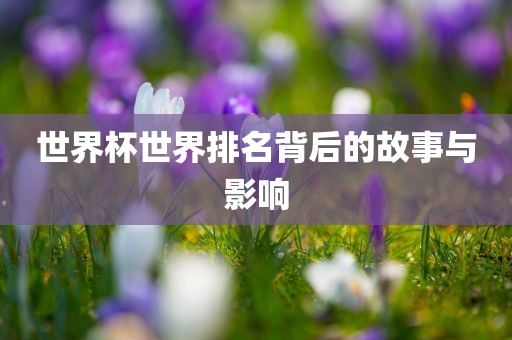 世界杯世界排名背后的故事与影响