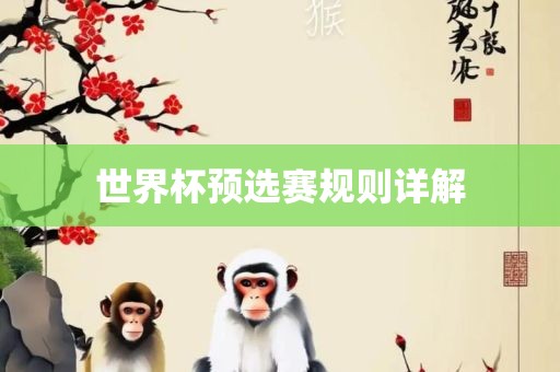 世界杯预选赛规则详解
