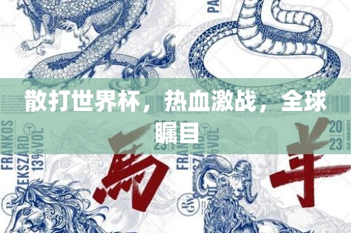 散打世界杯，热血激战，全球瞩目