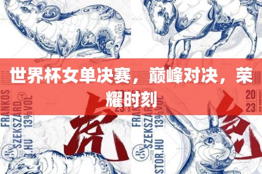 世界杯女单决赛，巅峰对决，荣耀时刻