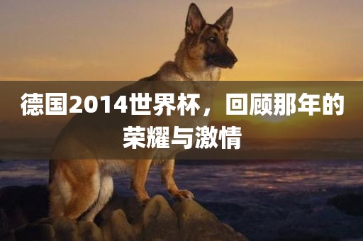 德国2014世界杯，回顾那年的荣耀与激情
