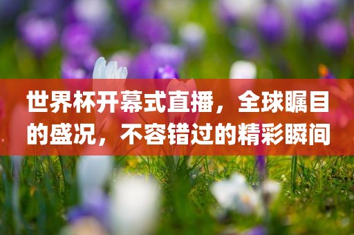 世界杯开幕式直播，全球瞩目的盛况，不容错过的精彩瞬间
