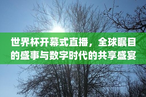 世界杯开幕式直播，全球瞩目的盛事与数字时代的共享盛宴