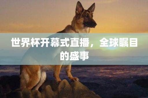 世界杯开幕式直播，全球瞩目的盛事