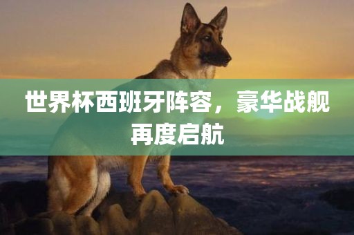 世界杯西班牙阵容，豪华战舰再度启航