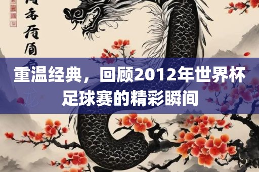重温经典，回顾2012年世界杯足球赛的精彩瞬间