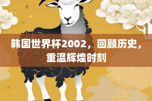 韩国世界杯2002，回顾历史，重温辉煌时刻
