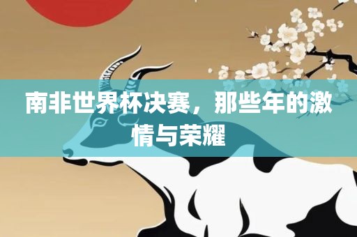 南非世界杯决赛，那些年的激情与荣耀漯河市盈旭机械设备有限公司