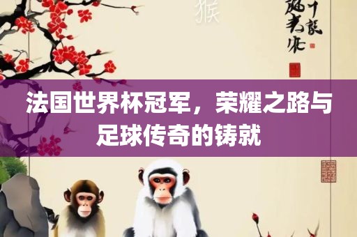 法国世界杯冠军，荣耀之路与足球传奇的铸就