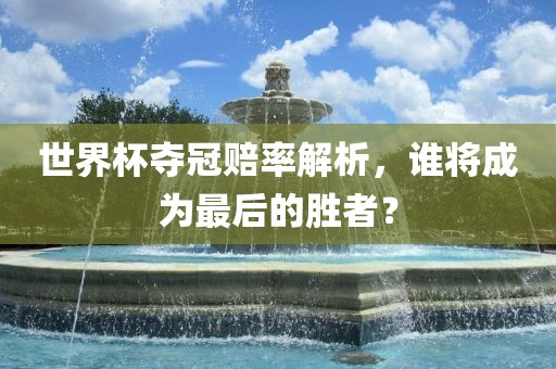 世界杯夺冠赔率解析，谁将成为最后的胜者？