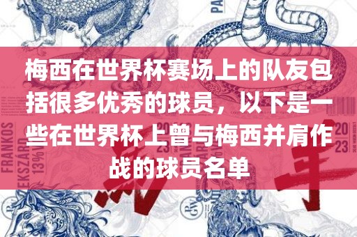 梅西在世界杯赛场上的队友包括很多优秀的球员，以下是一些在世界杯上曾与梅西并肩作战的球员名单
