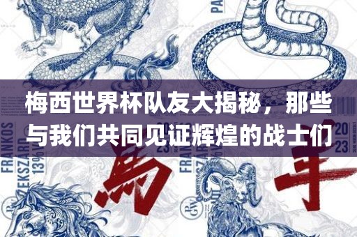 梅西世界杯队友大揭秘，那些与我们共同见证辉煌的战士们