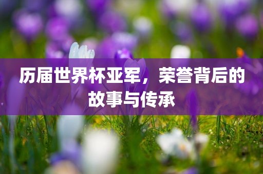 历届世界杯亚军，荣誉背后的故事与传承