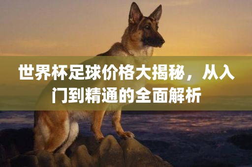 世界杯足球价格大揭秘，从入门到精通的全面解析