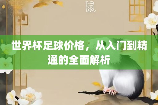 世界杯足球价格，从入门到精通的全面解析