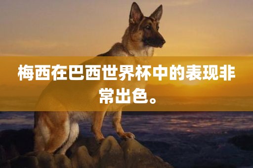 梅西在巴西世界杯中的表现非常出色。
