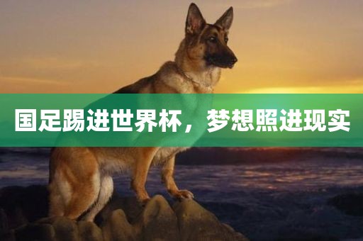 国足踢进世界杯，梦想照进现实