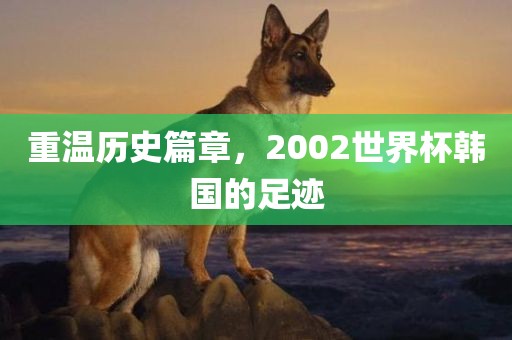 重温历史篇章，2002世界杯韩国的足迹