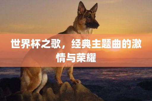 世界杯之歌，经典主题曲的激情与荣耀