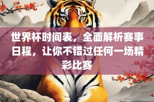 世界杯时间表，全面解析赛事日程，让你不错过任何一场精彩比赛