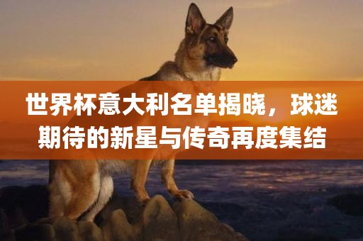 世界杯意大利名单揭晓，球迷期待的新星与传奇再度集结