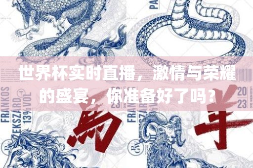 世界杯实时直播，激情与荣耀的盛宴，你准备好了吗？