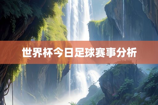 世界杯今日足球赛事分析