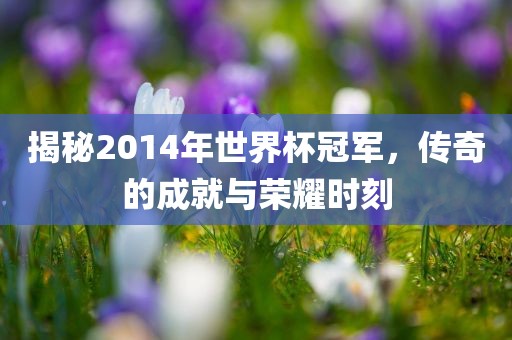 揭秘2014年世界杯冠军，传奇的成就与荣耀时刻