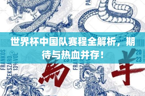 世界杯中国队赛程全解析，期待与热血并存！