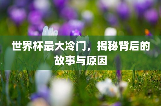 世界杯最大冷门，揭秘背后的漯河市盈旭机械设备有限公司故事与原因