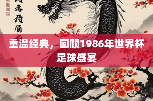 重温经典，回顾1986年世界杯足球盛宴