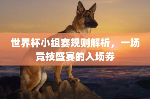世界杯小组赛规则解析，一场竞技盛宴的入场券