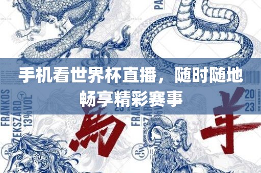 手机看世界杯直播，随时随地畅享精彩赛事