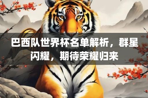 巴西队世界杯名单解析，群星闪耀，期待荣耀归来