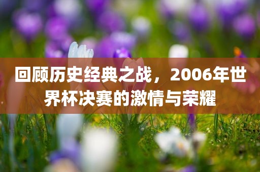 回顾历史经典之战，2006年世界杯决赛的激情与荣耀