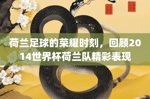 荷兰足球的荣耀时刻，回顾2014世界杯荷兰队精彩表现