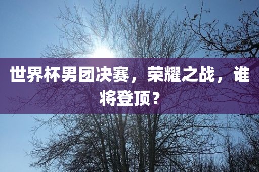 世界杯男团决赛，荣耀之战，谁将登顶？