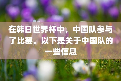 在韩日世界杯中，中国队参与了比赛。以下是关于中国队的一些信息