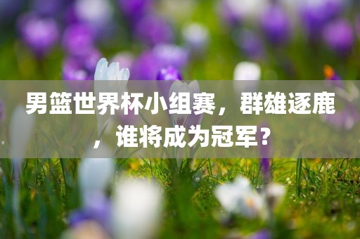 男篮世界杯小组赛，群雄逐鹿，谁将成为冠军？