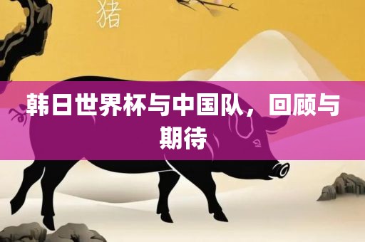 韩日世界杯与中国队，回顾与期待