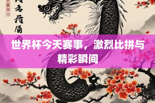 世界杯今天赛事，激烈比拼与精彩瞬间