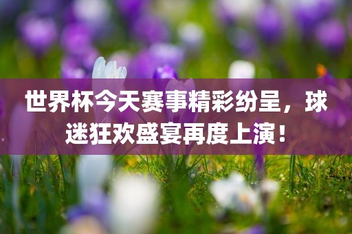 世界杯今天赛事精彩纷呈，球迷狂欢盛宴再度上演！