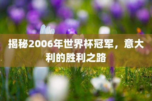 揭秘2006年世界杯冠军，意大利的胜利之路