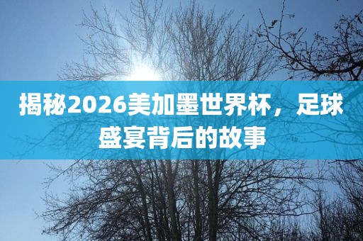 揭秘2026美加墨世界杯，足球盛宴背后的故事