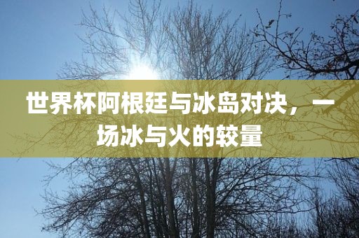 世界杯阿根廷与冰岛对决，一场冰与火的较量
