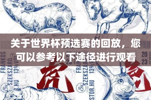关于世界杯预选赛的回放，您可以参考以下途径进行观看