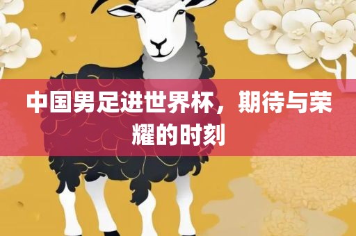中国男足进世界杯，期待与荣耀的时刻漯河市盈旭机械设备有限公司