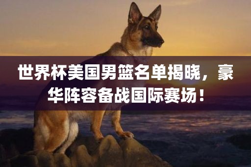 世界杯美国男篮名单揭晓，豪华阵容备战国际赛场！